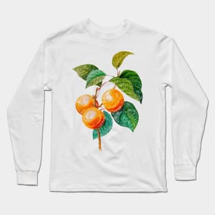 Peaches on the branch Long Sleeve T-Shirt